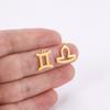 12pcs/lot Stainless Steel Zodiac Charms Horoscope Astrological Sign DIY Pendant for Necklace Bracelet Jewelry Making