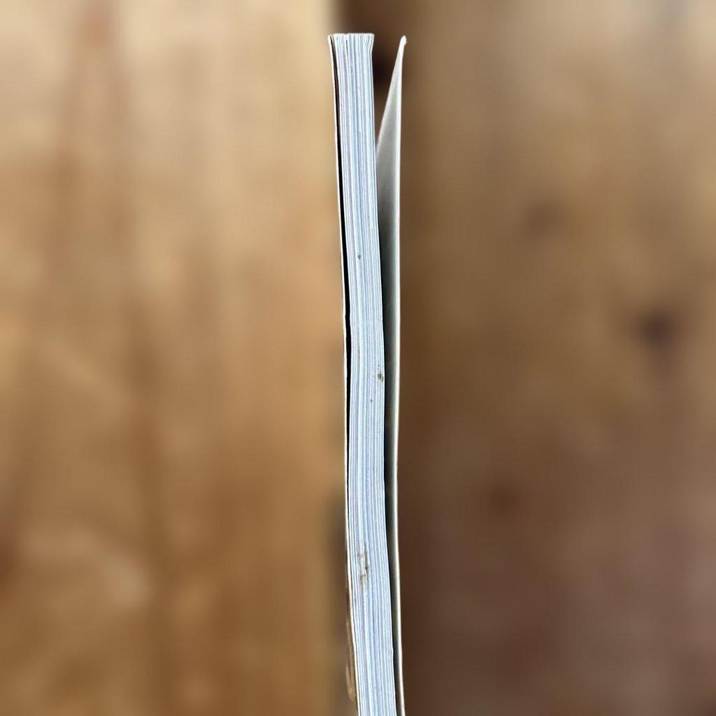 [USED] GUNS N' ROSES / Low Life In The ~ Photo Book