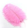 10Pcs Ostrich Feathers Decorative Vase Pluma Wedding Table Centerpieces Carnival Accessories DIY Creative Leisure Craft Supplies