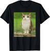 Meowl Cat Owl Funny Cursed Internet Trendy Meme T-Shirt Unisex T-Shirt