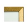 VanJOH Tenugui Frame Light Ultra-lightweight Gold M1006-GD2