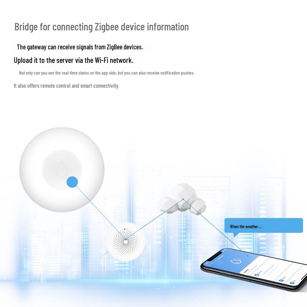 Tuya Zigbee Smart Water Leak Detector with App Timer Alarm