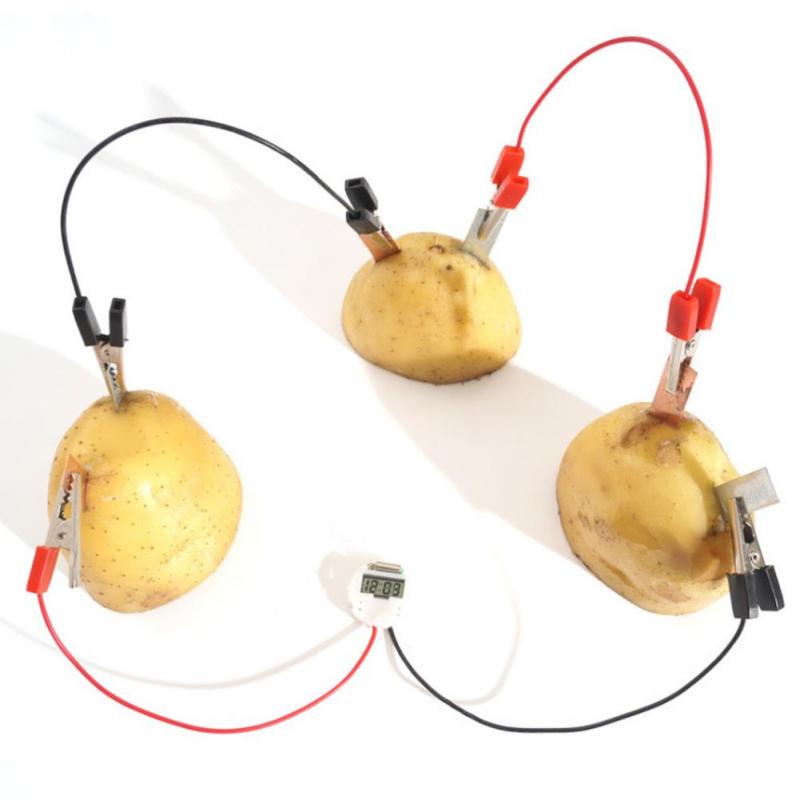 Buy Bio Energy Science Kit Children Educational Fun Potato Electricity