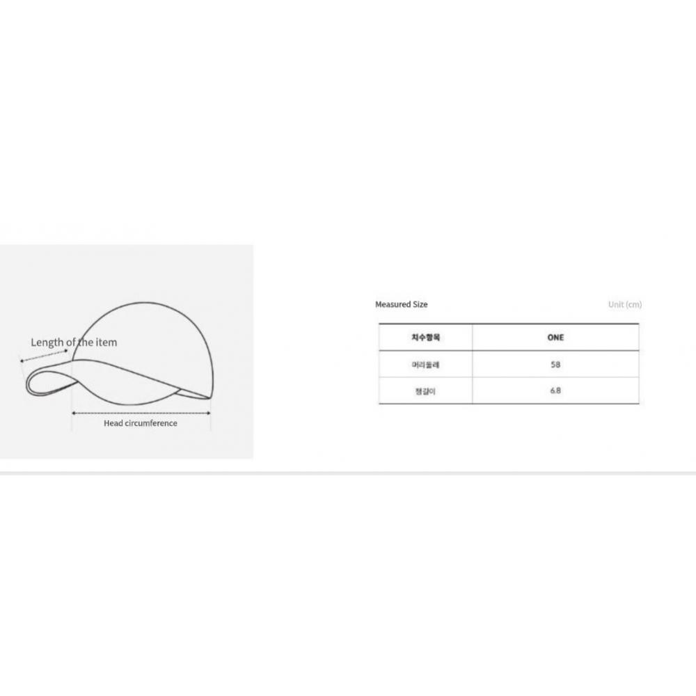 The North Face Wind Mesh Cap Ne3cq07b