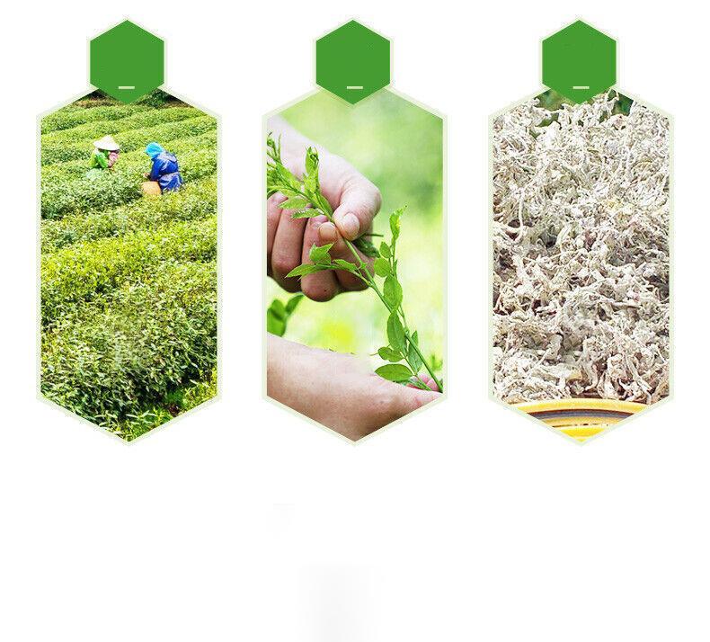 ZJJMeiCha Tengcha Shenxian Cha Natural Health Herbal Tea