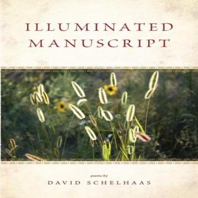 Illuminated Manuscript by David Schelhaas Paperback Book 9780932914958