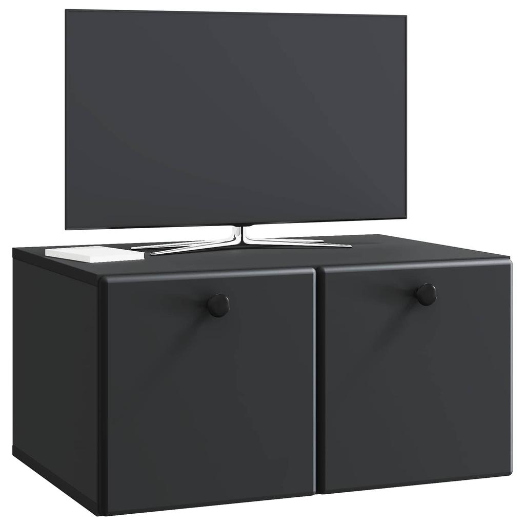 Wall Mounted TV Cabinet 59.5 x 41 x 30 cm Black