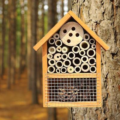 Bee House for Garden Habitat with Butterfly Hotel And Hanging Design