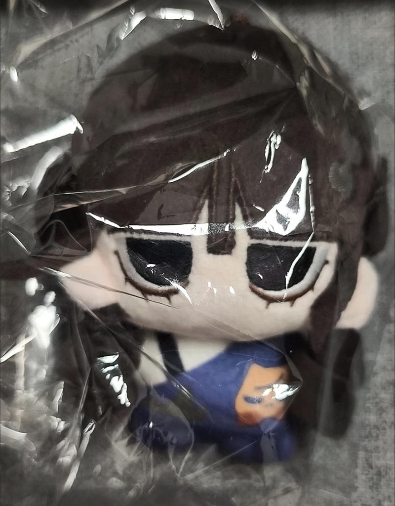 10Cm Idol Doll Ning Yizhuo Ningning Cute Girl Cosplay Soft Plush Doll Body Printing Stuffed Plushie Dolls Figure Keychain Toys