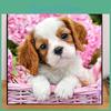 Diamond Painting Animals 5d Diy Wellbehaved Puppy Diamond Embroidery Full Lay Anime Cross Stitch Kits Home Decor Handmade Gift