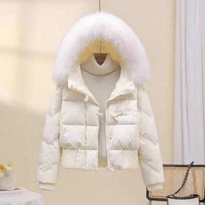 Damen Kurze Daunenjacke mit Pelzkragen - Koreanische Mode, Lockere Passform, Verdicktes Spandex, Warmer Wintertrend