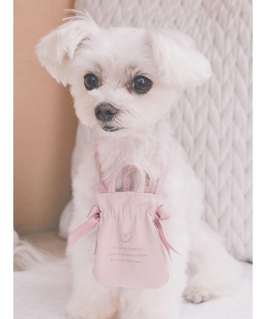 Maison De Fleur Apparel Mini Double Ribbon Bag, Women's, Pink