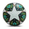 Ziwuqian 2425 Champions League Size 5 Football