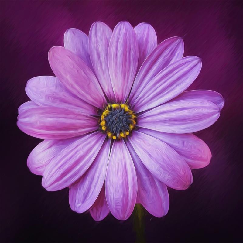 Embroidery 5D DIY Flower Lilac Daisies Part Diamond Painting Cross Stitch Mosaic