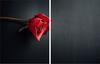 2x GLASS PROTECTIVE PLATE FOR STOVE 40x52 ROSE
