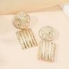 Retro trend exaggerated high-end design earrings, fashionable temperament women's earrings