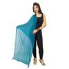 Long Stole Chiffon Blend Dupatta Neck Wrap Women Indian Scarves Chunni