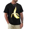 Bananaaaa! - Cockatiel Banana Pattern T-Shirt Casual Streetwear Short Sleeve Tee