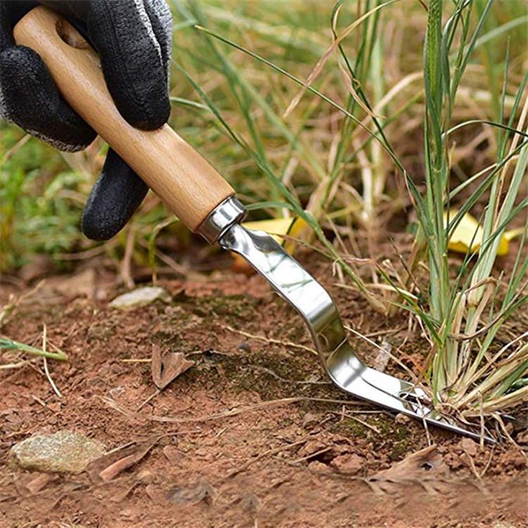 Sarchiatore da Giardino in Acciaio Inossidabile con Manico in Legno Rimozione Manuale delle Erbacce Taglierino Strumenti Estrattore Denti di Leone Sarchiatore Multifunzione Trapianto