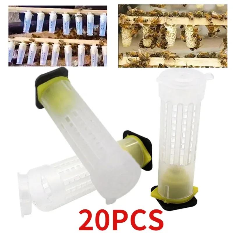 20PCS Queen Cage Rearing Cover Catcher Queen Plastic Cells Bees Box Cages Bees Tool Apiculture Equipment Protection
