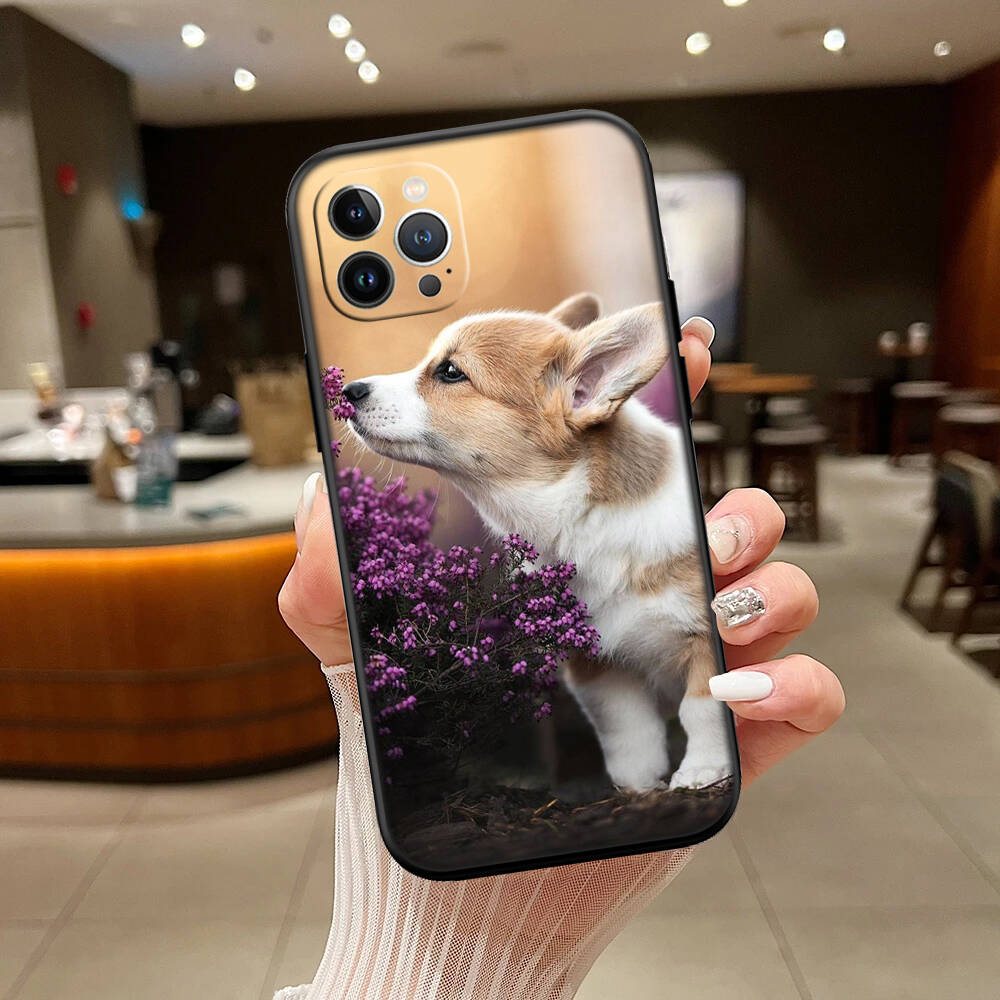Cute Corgi Dog New Phone Case for iPhone 6 6s 7 8 11 12 13 14 15 16 17 16E XS Pro Max XR X SE Air