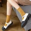 5 Pairs of Women's Thick, Cozy, Winter Pile Socks