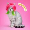Comfortable To Wear Colorful Pet Wig Adjustable Fit Dogs Cats Cosplay Wigs  Dress Up Event