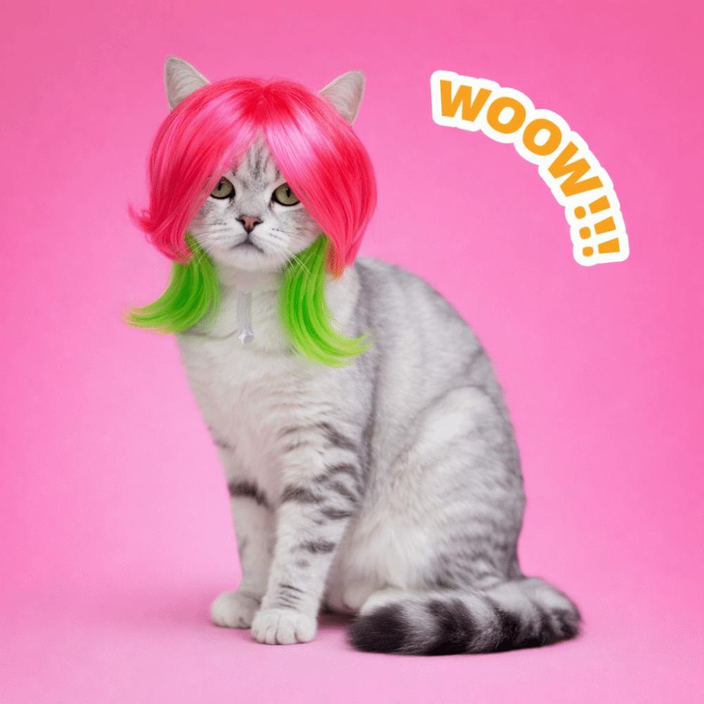 Comfortable To Wear Colorful Pet Wig Adjustable Fit Dogs Cats Cosplay Wigs  Dress Up Event