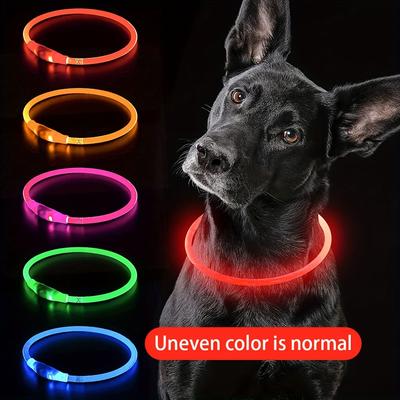 Köpek – Köpek Tasmaları ve Tasma Kayışları