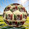 1pc Mexico Soccer Emblem Soccer Ball Size 5, Suitable for Practice Matches/tournament Training,Lightweight and Durable. Mxg7021