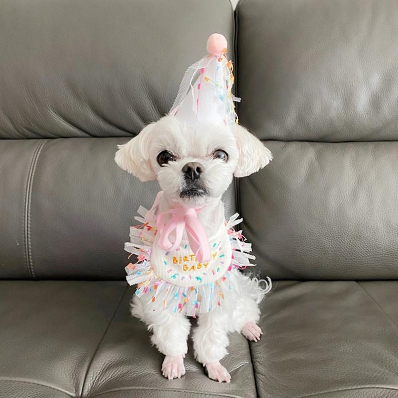 personalised pet accessories