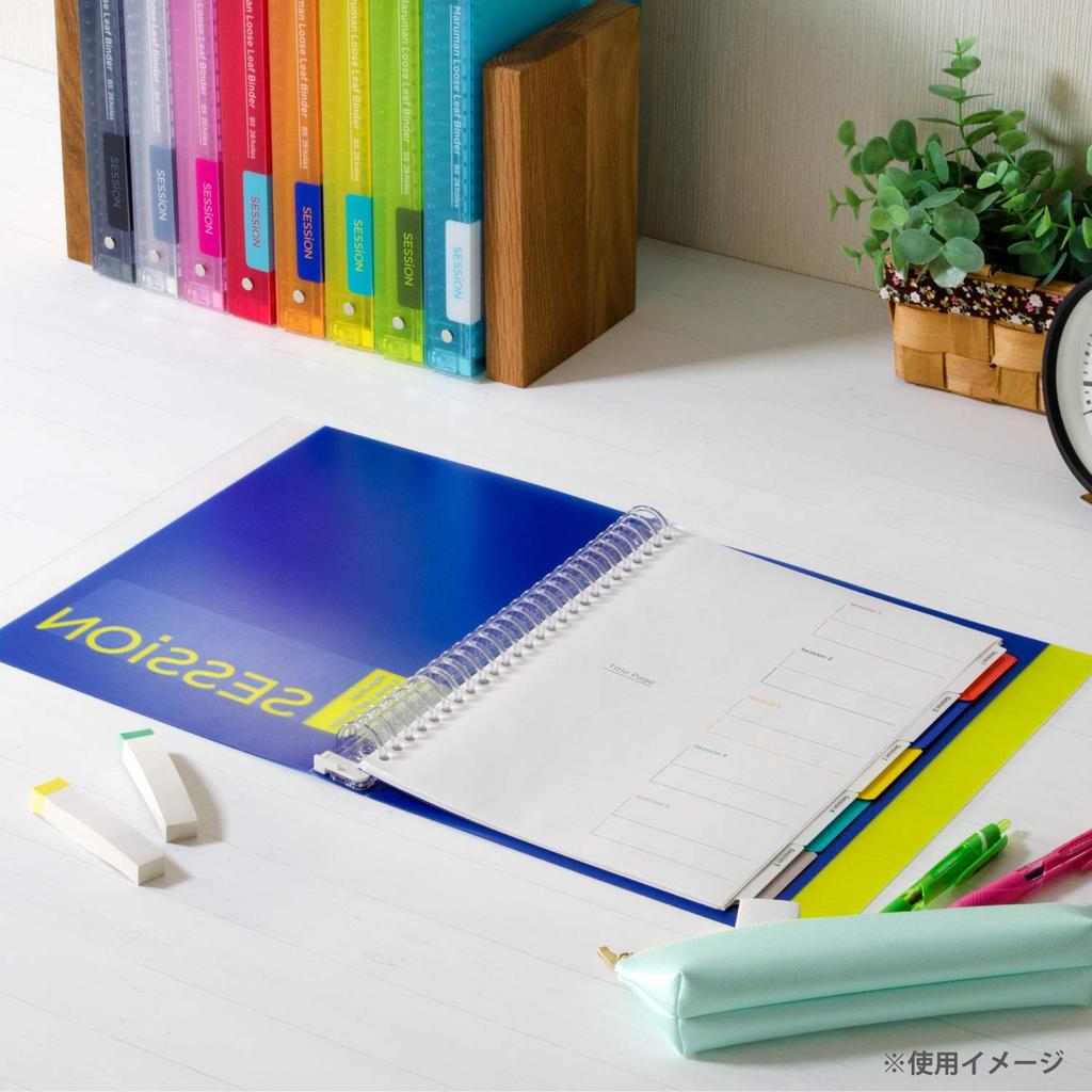 Maruman Index B5 26-Hole (2-Hole Compatible) Double Index, 5-Ring, 2 Sets, 10 Books, LT5025