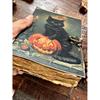 Black Cat Junk Journal Old Pages Dark Witch Fantasy Magical Junk Journal Kit Halloween Thaem Book Of Shadows