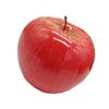 Künstliche Frucht Simulationsmodell Schaumstoff Fake Obst Kindergarten Lehrmittel Dekorative Requisiten Rosa