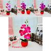 Phalaenopsis Decorative Faux Plant With Durable Silk And Plastic For Home Decor