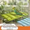 Wear Resistant Parrot Perch Rest Bite Resistant Parrot Cage Stand Climbing Rack  Rest