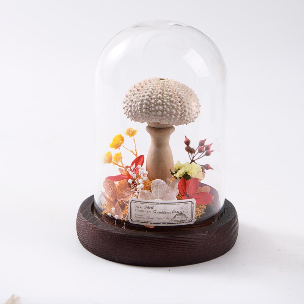 Eternal Flower Dried Flower Glass Cover Cylindrical Small Sea Urchin Night Light Gift Ornament Holiday Gift for Children and Friends