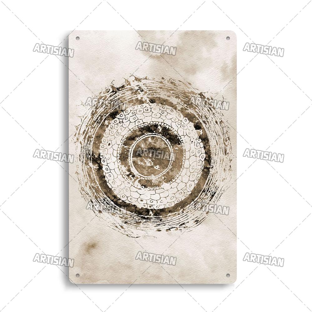 Placca Metallica Artigianale Clinica Dentista Cartello in Latta Anatomia Piatto Decorativo Medico Ospedale Chirurgia Dente Organo Ossa Nervo Cervello