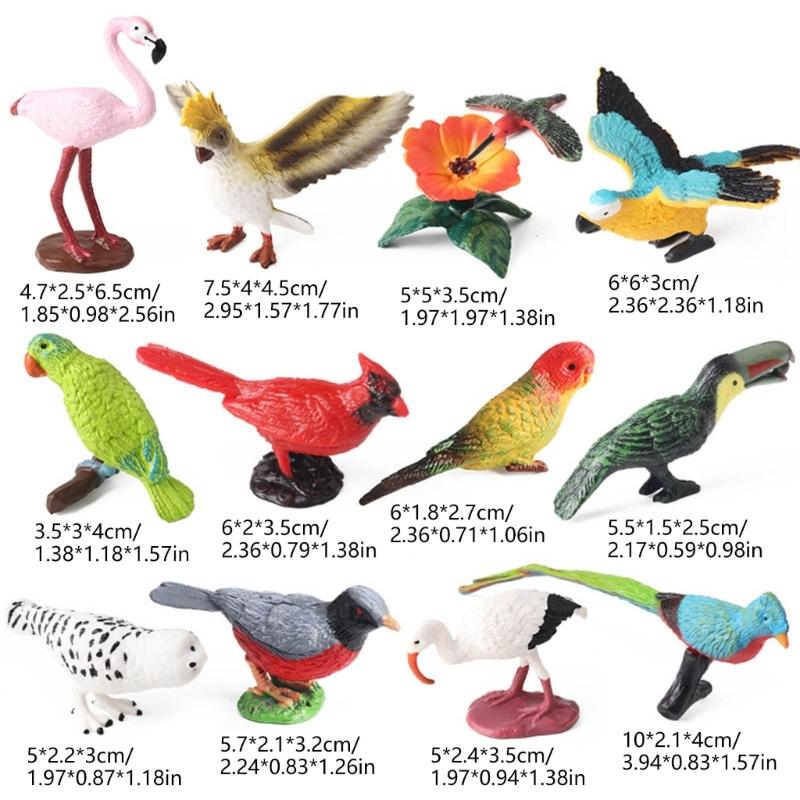 Realistic Bird Static Model Solid Figure Toy Animal Figurine Statue Fowl Figure Set Kids Collectible Toy Cake Toppers