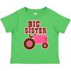 Parte superior (Meninas a partir de 4 anos) – T-Shirts