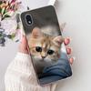 For Samsung Galaxy A01 Core Case SM-A013F Stylish Painted Cover Soft Slim Phone Case For Samsung A01 M 01 Galaxy M01 Core Fundas