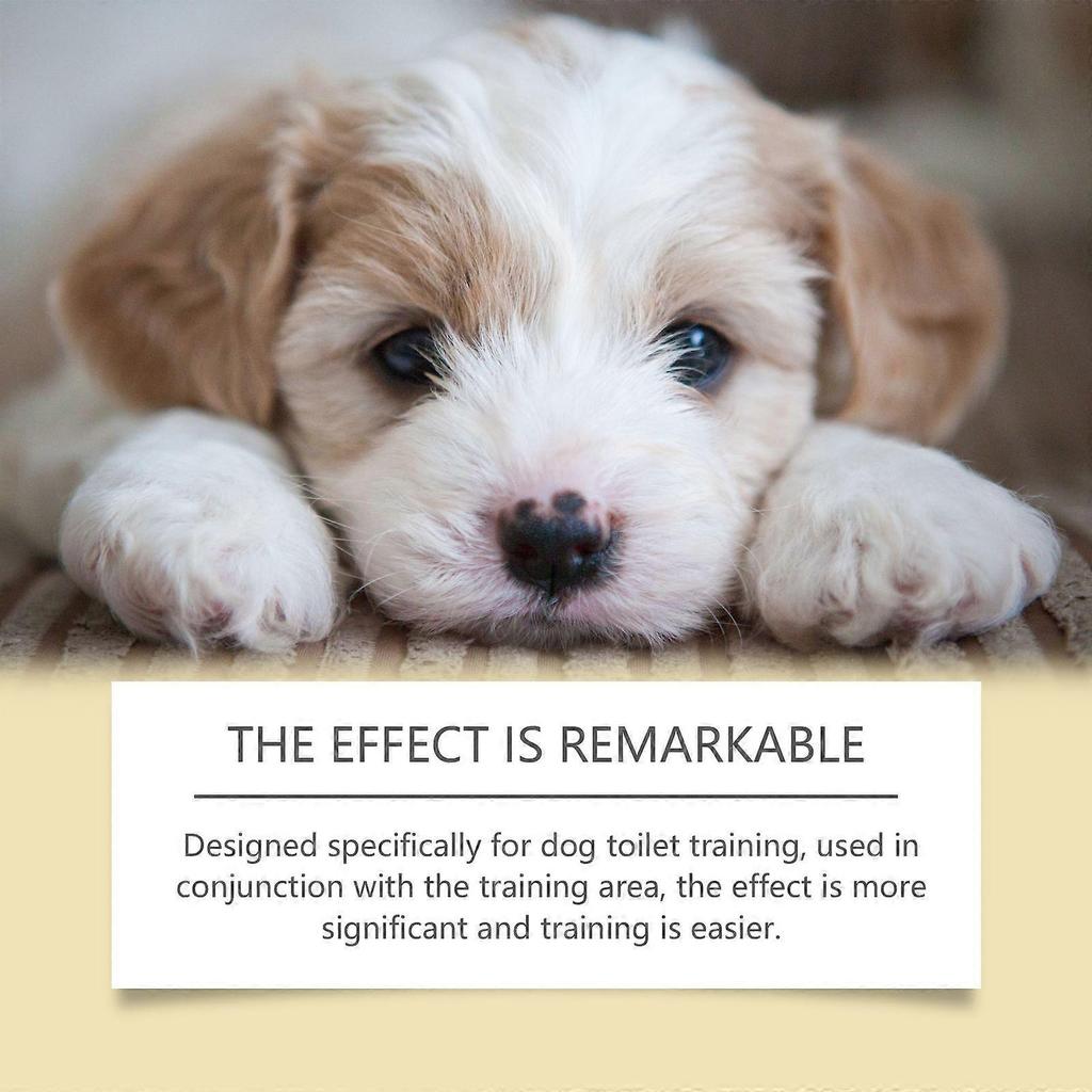 Yegbong Pet Toilet Training Spray - Indoor And Outdoor Guidance And Lure For Cats And Dogs