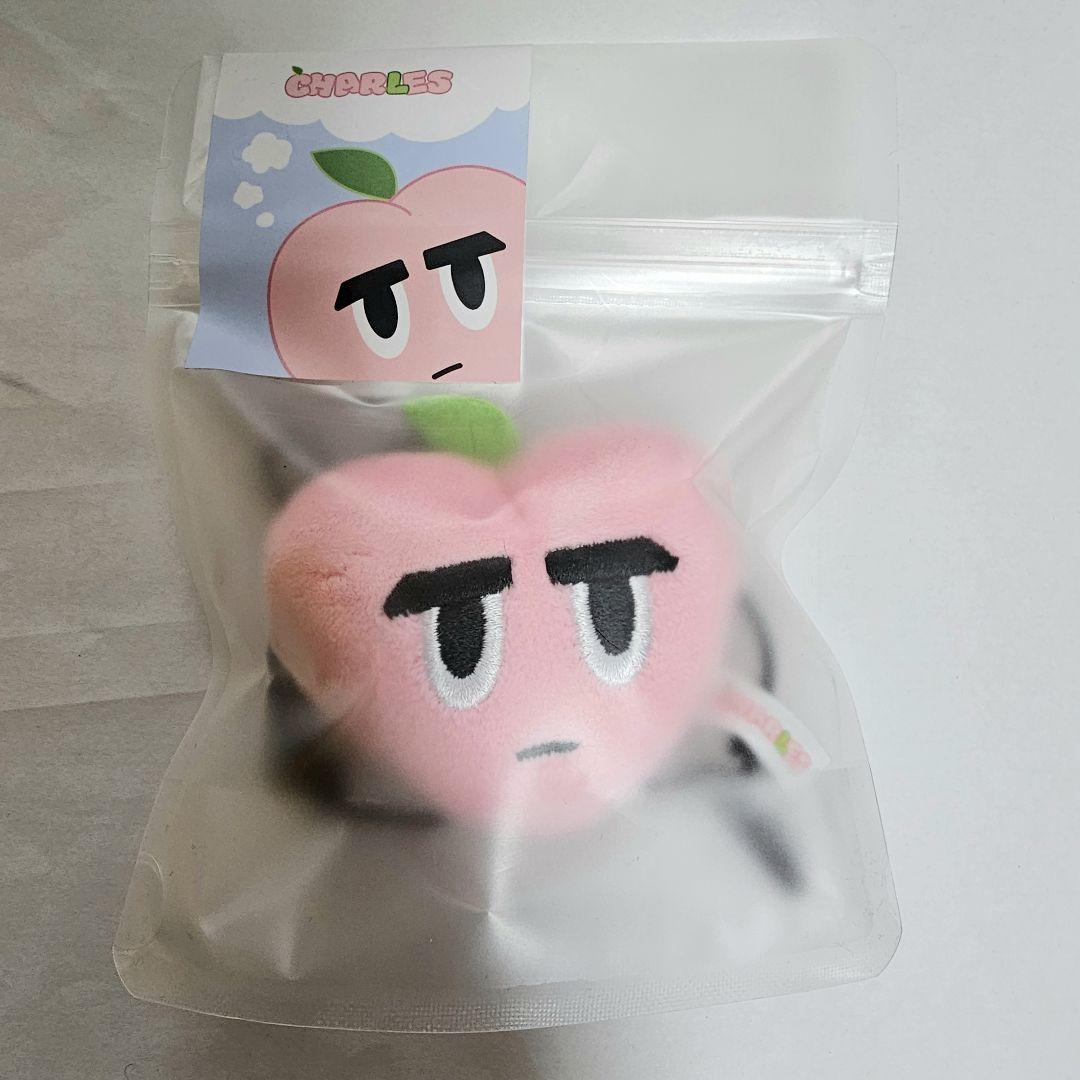 

[USED] Do Kyung Soo Charles Key Ring No.1