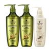 Set de Cuidado del Cabello Control de Grasa con Aceite Esencial de Jengibre