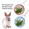 Round Rabbit Grass Feeder Wear-resistant Hay Feeder Ball Suspending Feeder  For Small Pets