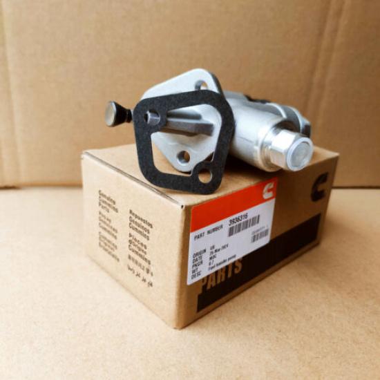 Cumm Fuel Lift Pump 12V Valve 3936316 4988747 For 94-98 Dodge 5.9 P7100 US