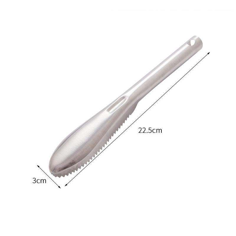 Stainless Steel Fish Scaler Remover Easily Remove Fish Scales Cleaning BrushTool Fish Scraper for Kitchen Fish Cleaning Tools