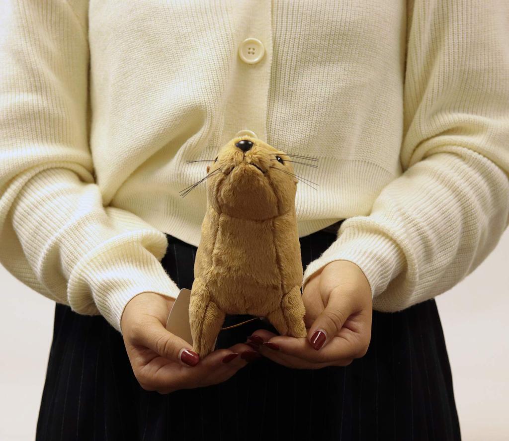 Plyšový lachtan Mořští přátelé 180198