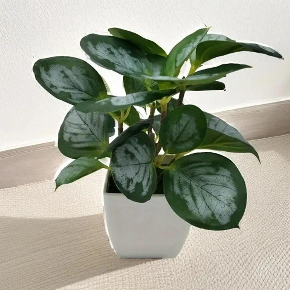 

Искусственные растения в горшках, растения с листьями для украшения дома, искусственные цветы, листья кресс-салата, листья денег, офисные украшения, небольшие растения в горшках