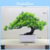 Scotch Simulated Changpai Pine Thuja Sutchuenensis Artificial Green Plant Bonsai